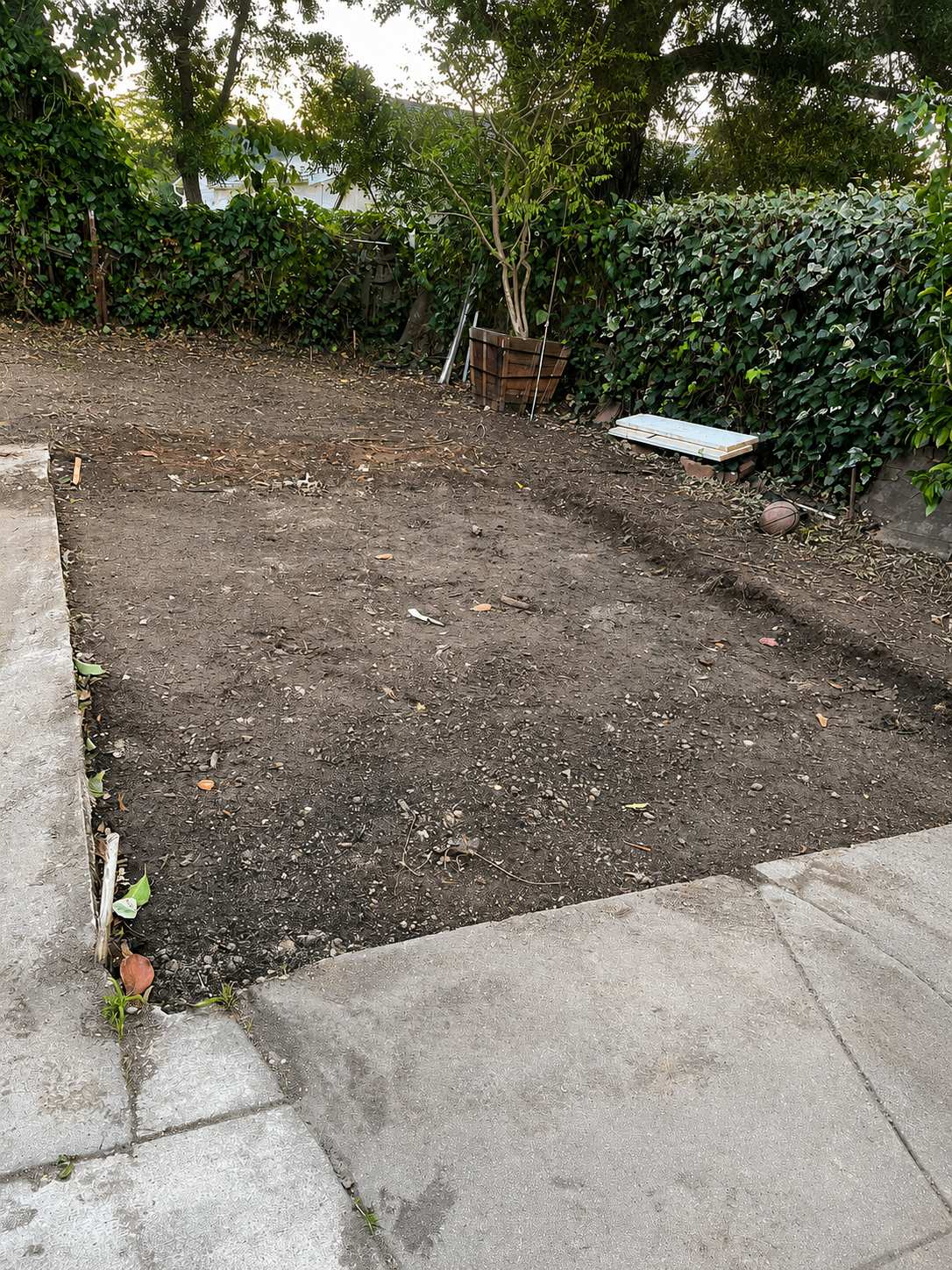 Backyard lot before construction